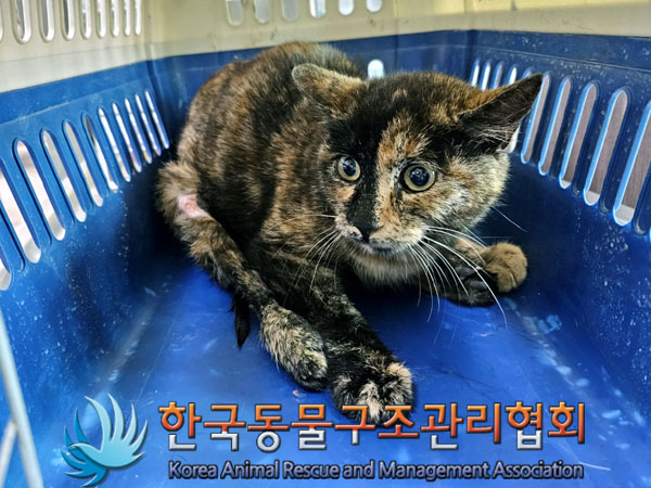 한국동물구조관리협회_441392202300034
